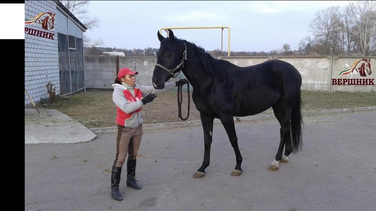 Vershnyk Cherkasy Luaran gambar